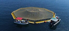 Army engineers pave the way for US fish farming expansion