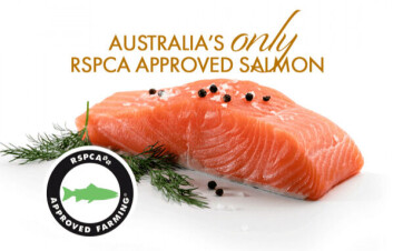 Huon is the only Australian salmon producer selling RSPCA-approved fish. Huon is the only Australian salmon producer selling RSPCA-approved fish.