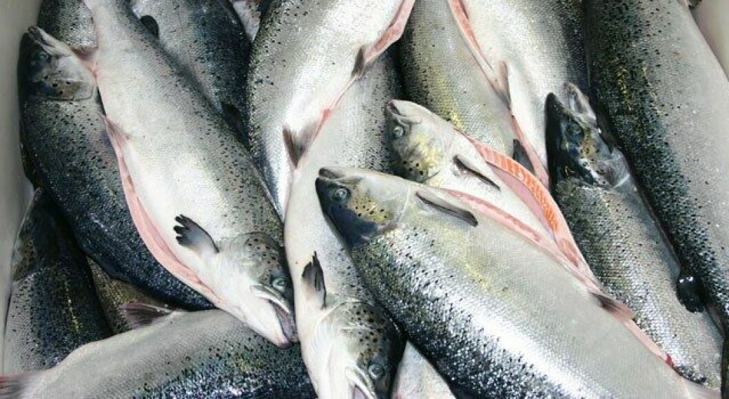 The lack of growth in salmon volumes resulted in very high prices during 2016.