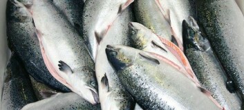 Salmon exports soar by 39%