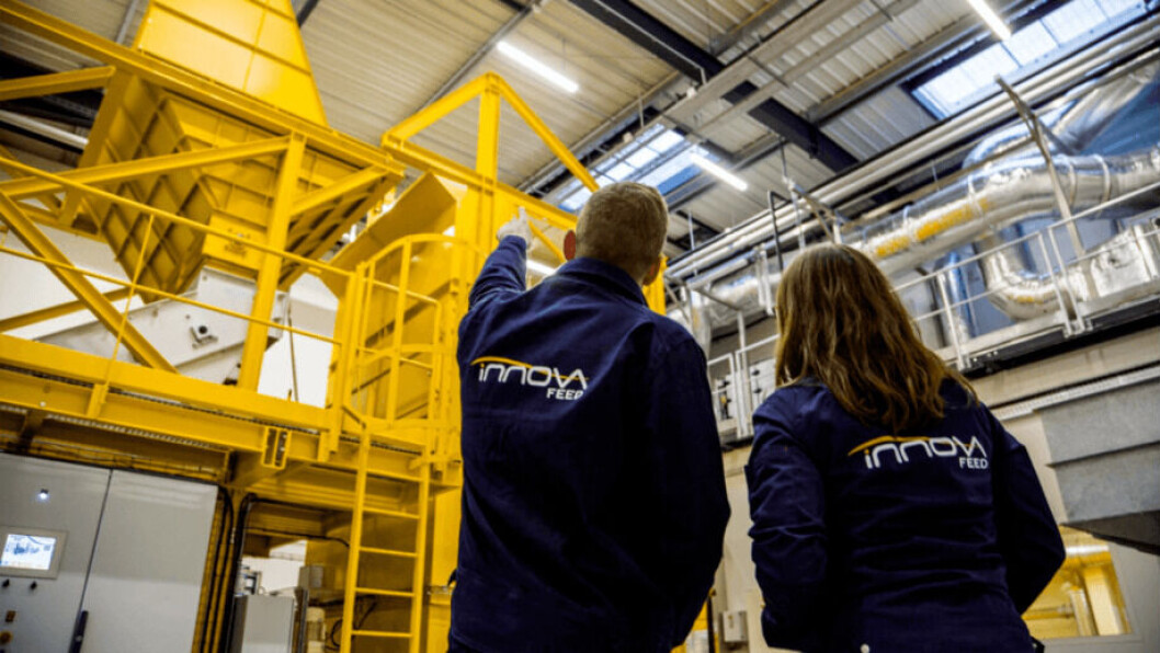 InnovaFeed and Cargill have extended their agreement from three to 10 years. Photo: InnovaFeed. InnovaFeed and Cargill have extended their agreement from three to 10 years. Photo: InnovaFeed.