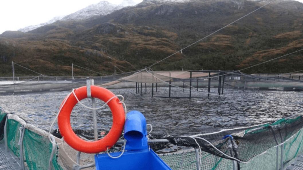 Australis Seafoods' Estero Retrocesco site, where it allegedly exceeded production limits by 76%. Photo: SMA. Australis Seafoods' Estero Retrocesco site, where it allegedly exceeded production limits by 76%. Photo: SMA.
