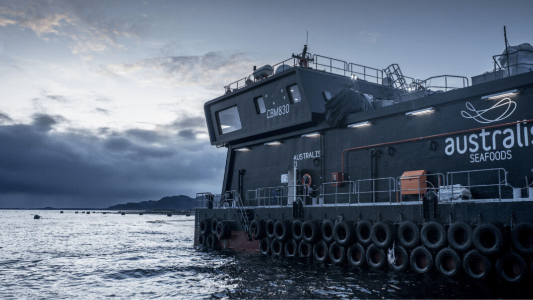 An Australis Seafoods feed barge. The Chinese-owned company has joined the Salmon Council trade organisation. Photo: Australis. An Australis Seafoods feed barge. The Chinese-owned company has joined the Salmon Council trade organisation. Photo: Australis.