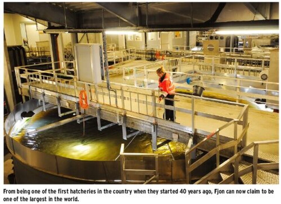 Celebrating forty years of smolt production