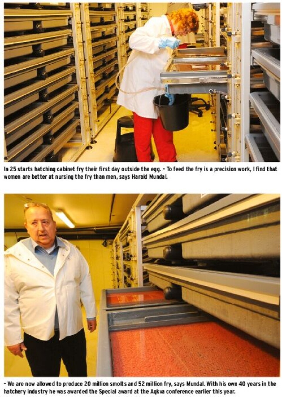 Celebrating forty years of smolt production