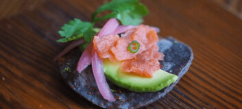Cell-grown salmon lined up for sushi and poke chains