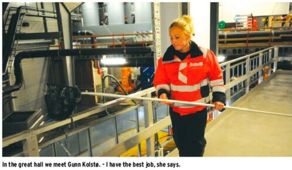 Celebrating forty years of smolt production