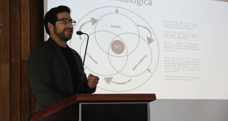 Fernando Mardones. Image: Patricio Feest.