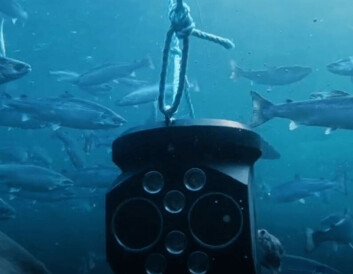 An Aquabyte camera in a cage. Click on image to enlarge. An Aquabyte camera in a cage. Click on image to enlarge.