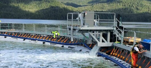 Axe-threatened BC salmon industry highlights fast pace of innovation