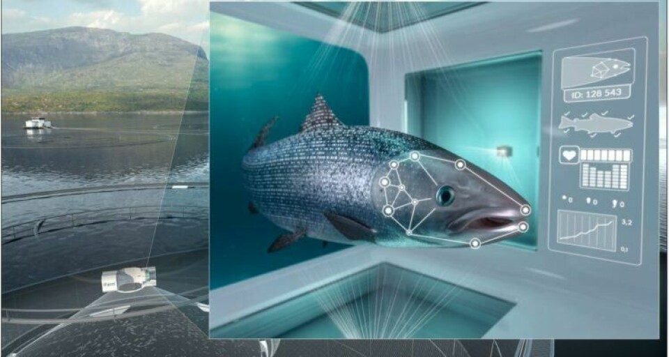 Illustration of the concept iFarm, where the target is individual-based salmon farming in the sea. Source: Cermaq.