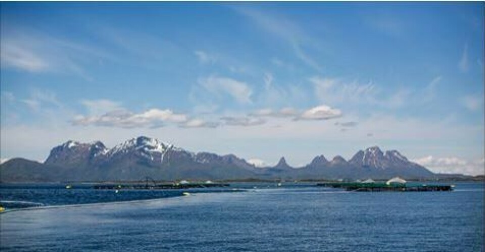 Cermaq's fish survival rate is 94.8 per cent in Norway. Image: Cermaq.