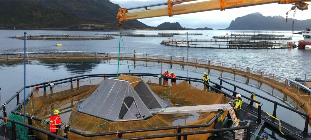 Cermaq rolls out second stage of novel iFarm