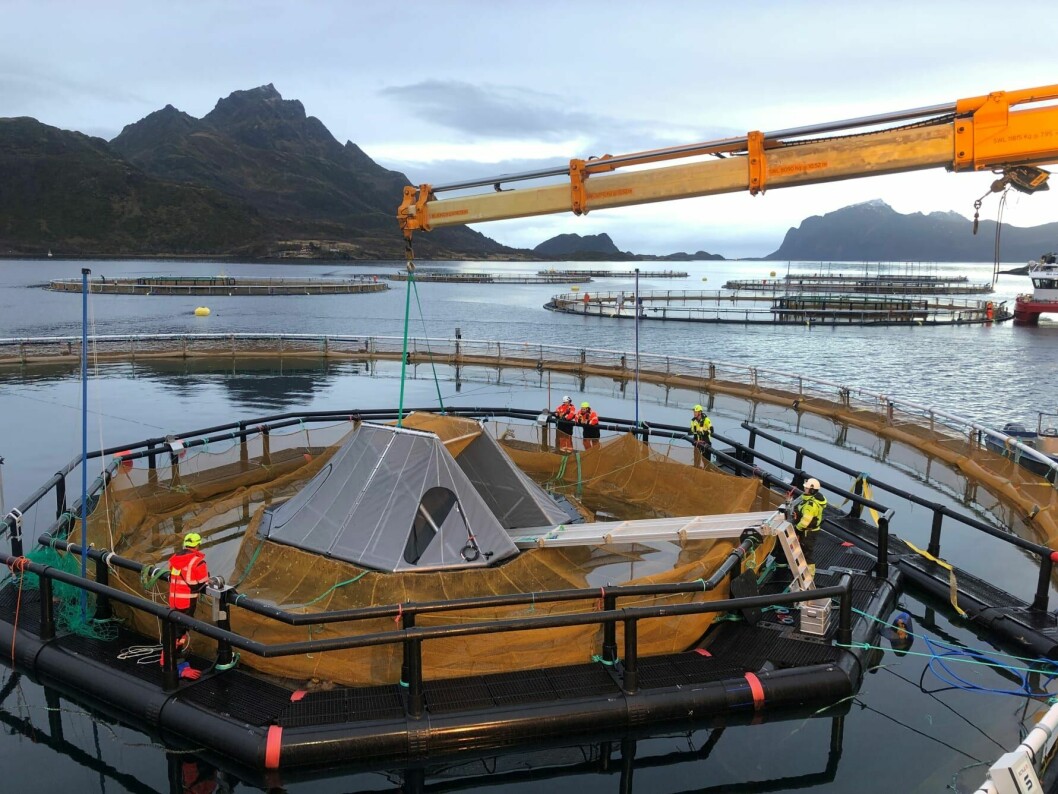 A sensor house being installed in one of the net pens at the marine site. Photo: Cermaq