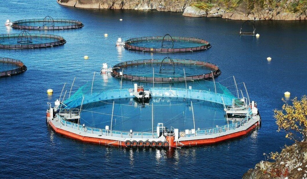 Fiizk's closed cage in place at Cermaq's site in Horsvaagen, northern Norway. Photo: Cermaq. Fiizk's closed cage in place at Cermaq's site in Horsvaagen, northern Norway. Photo: Cermaq.