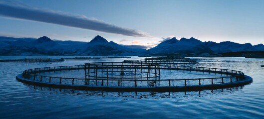 Cermaq to make salmon even more climate friendly