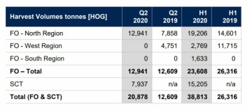 Bakkafrost harvested more fish in the first half of 2020 than in H1 2019 but has earned less for them. Click on image to enlarge. Graphic: Bakkafrost. Bakkafrost harvested more fish in the first half of 2020 than in H1 2019 but has earned less for them. Click on image to enlarge. Graphic: Bakkafrost.