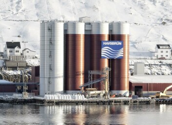 Bakkafrost's raw material division, Havsbrún, had record results. Photo: Bakkafrost Bakkafrost's raw material division, Havsbrún, had record results. Photo: Bakkafrost