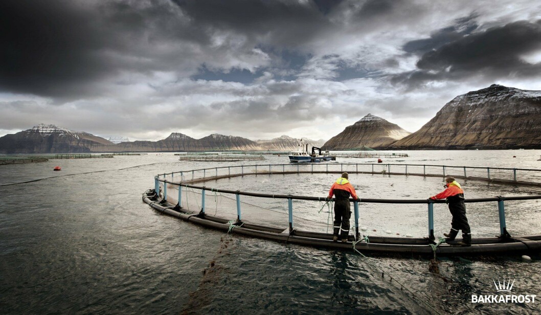 Bakkafrost harvested fewer fish and made a smaller profit in Q4 2017 than in Q4 2016 but chief executive Regin Jacobsen was pleased. Photo: Bakkafrost Bakkafrost harvested fewer fish and made a smaller profit in Q4 2017 than in Q4 2016 but chief executive Regin Jacobsen was pleased. Photo: Bakkafrost