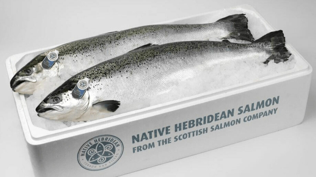 The Scottish Salmon Company made an operating loss in Q4 and for 2020 as a whole. Photo: SSC.