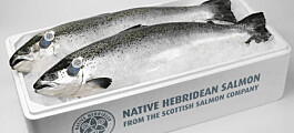 Four-star rating is a European first for Scottish Salmon Company