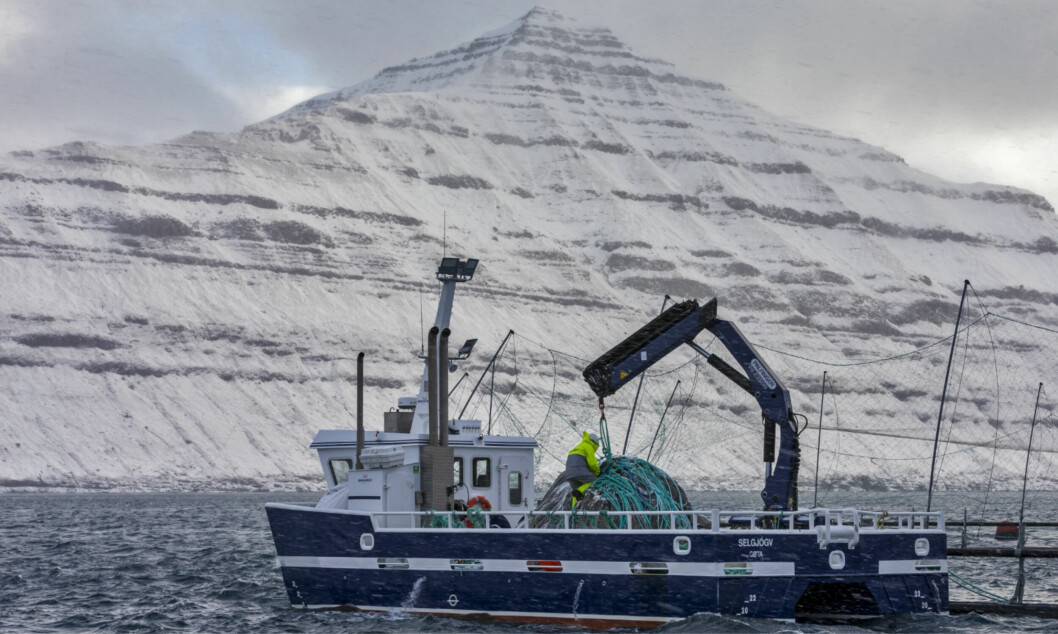 A Bakkafrost farm in the Faroes. The company harvested nearly 29,000 gwt of salmon in Q3, most of it in the Faroes. Photo: Bakkafrost.