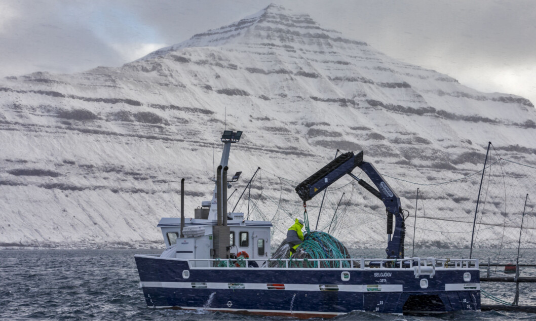 A Bakkafrost farm in the Faroes. The company harvested nearly 29,000 gwt of salmon in Q3, most of it in the Faroes. Photo: Bakkafrost. A Bakkafrost farm in the Faroes. The company harvested nearly 29,000 gwt of salmon in Q3, most of it in the Faroes. Photo: Bakkafrost.
