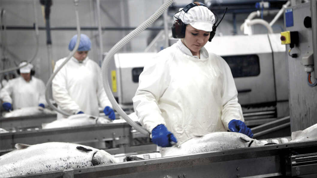 Bakkafrost's staff in the Faroes are being offered free Covid-19 tests every two weeks for the next two months. Bakkafrost's staff in the Faroes are being offered free Covid-19 tests every two weeks for the next two months.