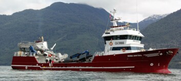 Chile court orders union to reveal details about wellboat deals