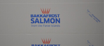 Bakkafrost makes offer for remaining SSC shares