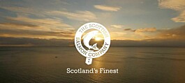 Scottish Salmon Company harvest to rise 15% in 2020