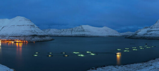 Salmon tax may double for Faroes farmers