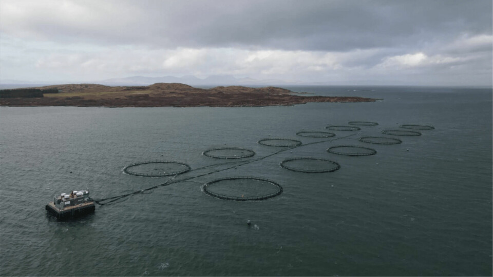 A fish farm near Gigha that was supplied to the Scottish Salmon Company by Gael Force, which has agreed a flexible finance deal with its new banker, RBS. Photo: Gael Force.
