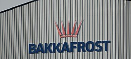 Bakkafrost settles £337m bill for Scottish Salmon Company