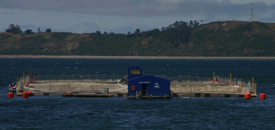 Chile set for regulatory overhaul