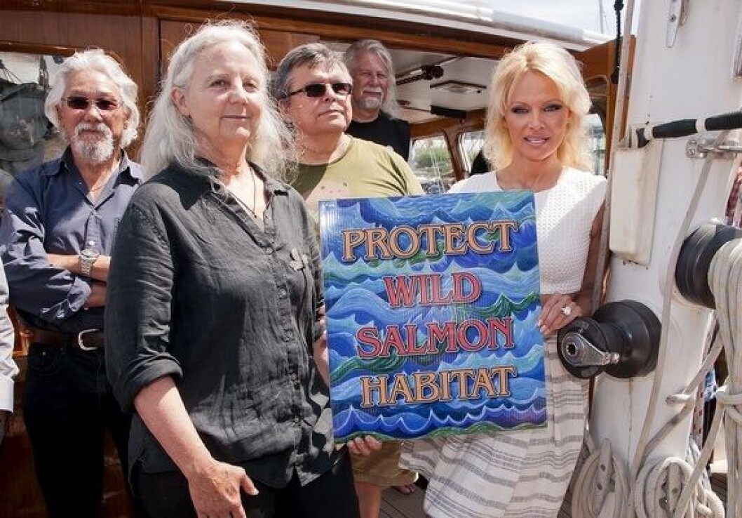 Alexandra Morton enlisted the help of former Baywatch star Pamela Anderson to kick-start her voyage around BC farms this summer - a stunt that is likely to land the former in court. Alexandra Morton enlisted the help of former Baywatch star Pamela Anderson to kick-start her voyage around BC farms this summer - a stunt that is likely to land the former in court.