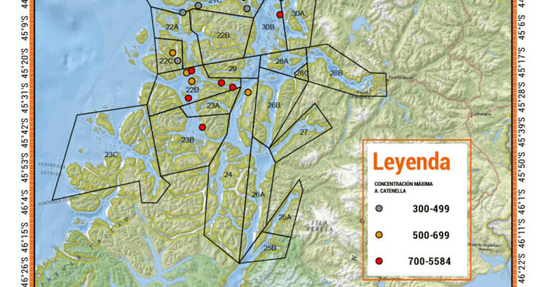 The Aysen region of Chile is worst affected by the algal blooms. Image: Sernapesca The Aysen region of Chile is worst affected by the algal blooms. Image: Sernapesca