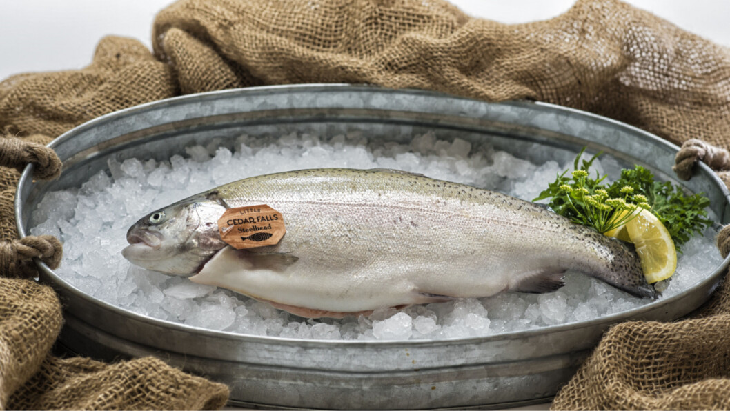 A Taste of BC Aquafarms steelhead. A Taste of BC Aquafarms steelhead.