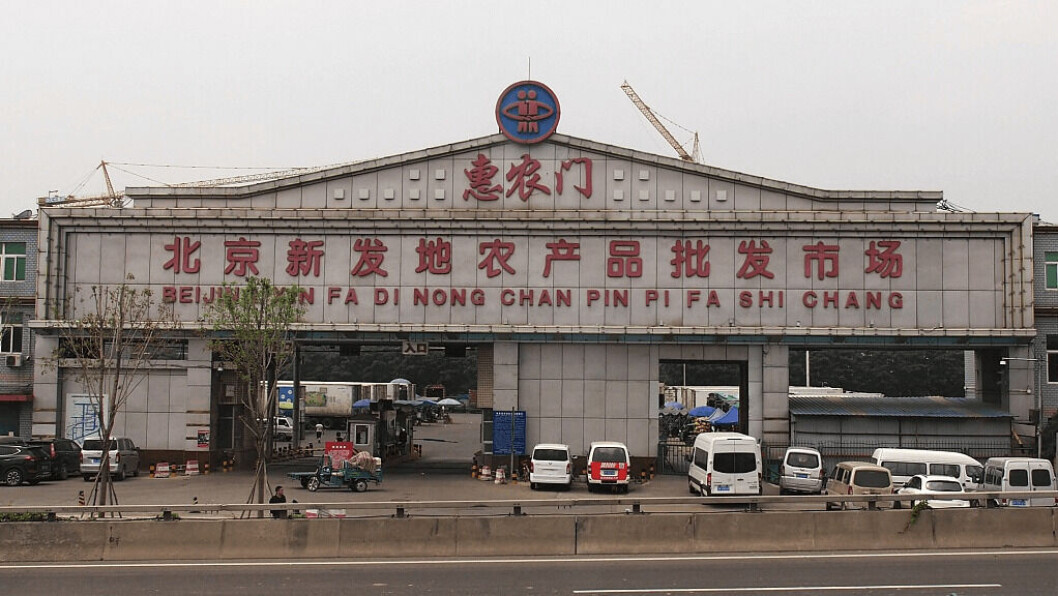 A new outbreak of Covid-19 at Xinfadi makret in Beijing led to speculation that the virus came in with imported salmon. A new outbreak of Covid-19 at Xinfadi makret in Beijing led to speculation that the virus came in with imported salmon.