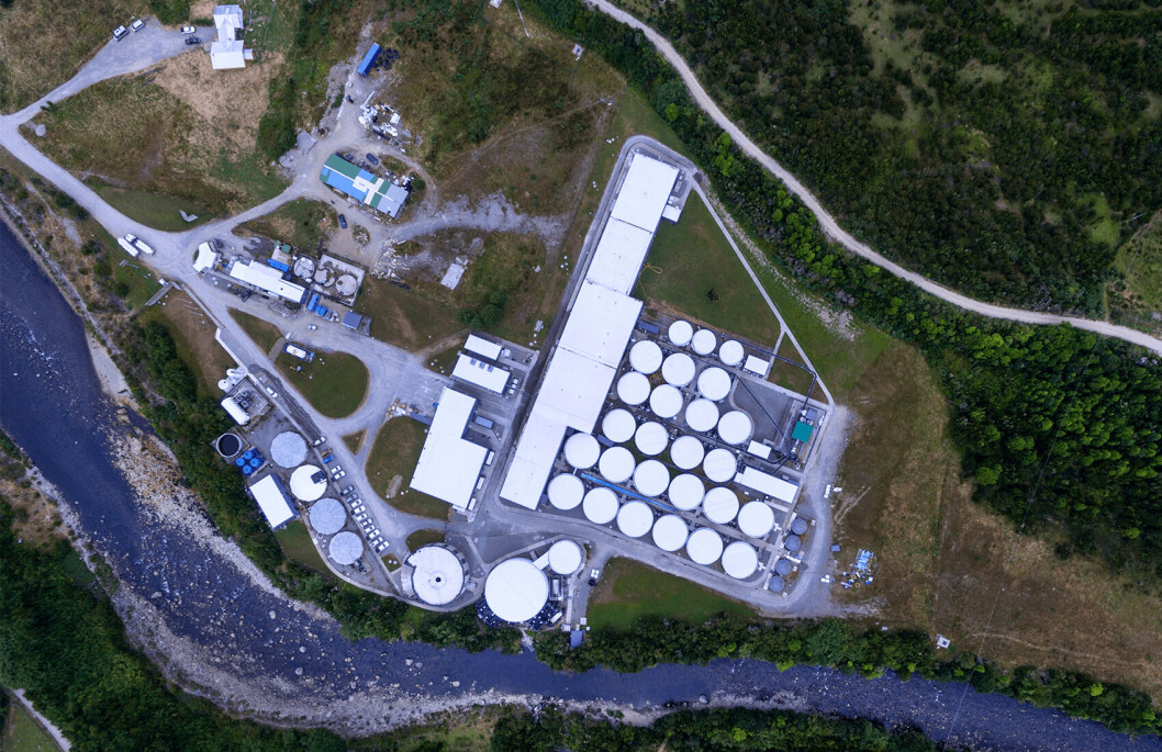 Benchmark took a 49% stake in AquaChile's Chaicas facility in June last year. Photo: Benchmark. Benchmark took a 49% stake in AquaChile's Chaicas facility in June last year. Photo: Benchmark.