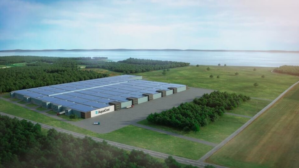 Aquacon wants to build three land-based salmon farms on the east coast of the United States with a cost framework of one billion dollars, and a total production capacity of 45,000 tonnes. The first plant is planned with a capacity of 16,000 tonnes. AKVA group has secured a RAS contract worth NOK 1.3 billion, subject to the facility being financed. Click on image to enlarge. Illustration: Aquacon.