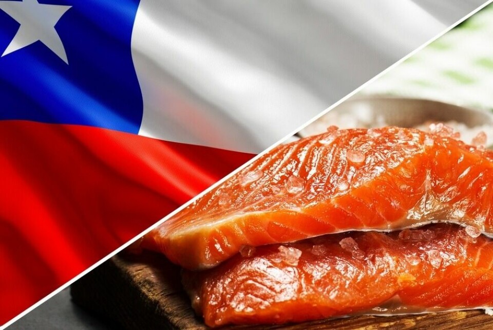 Chile exported more salmon last year than in 2019 but got less money for it. Image: Salmonexpert.cl.