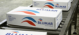 Blumar plunges from profit to loss in first half of 2020
