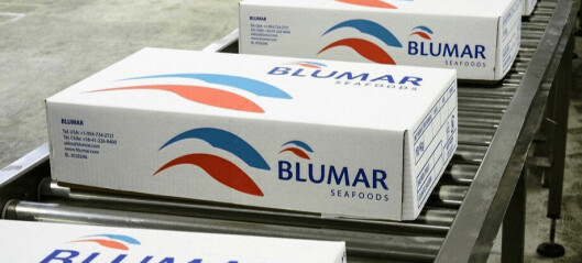 Blumar plunges from profit to loss in first half of 2020