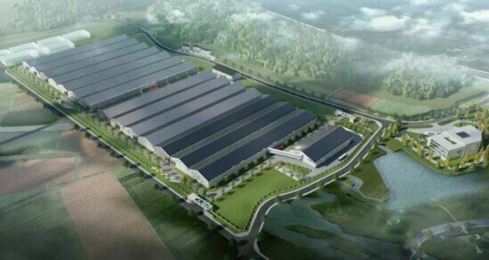 NAP plans to eventually produce around 40,000 tonnes of Atlantic salmon annually at this plant in Ningbo, a coastal city with a population of 7.6 million people that is situated on the other side of Hangxhou Bay to Shanghai. Illustration: NAP.