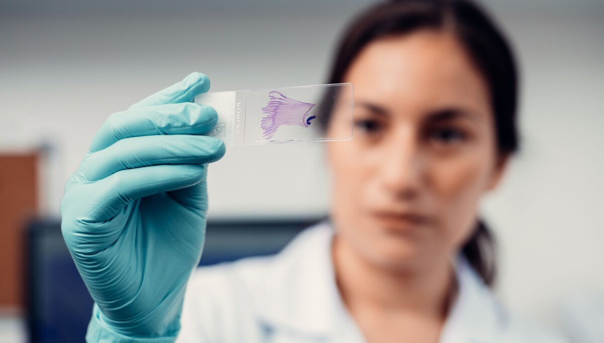 Chilean fish farming pathologist VeHiCe opens Scotland lab