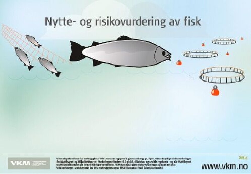 Benefit and risk assessment of fish in the Norwegian