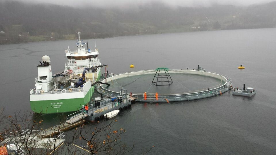 Sara Calabrese has also investigated the conditions in Marine Harvest closed facilities on Molnes. Photo: Marine Harvest