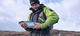 Better feed keeping salmon in the pink, says Mowi