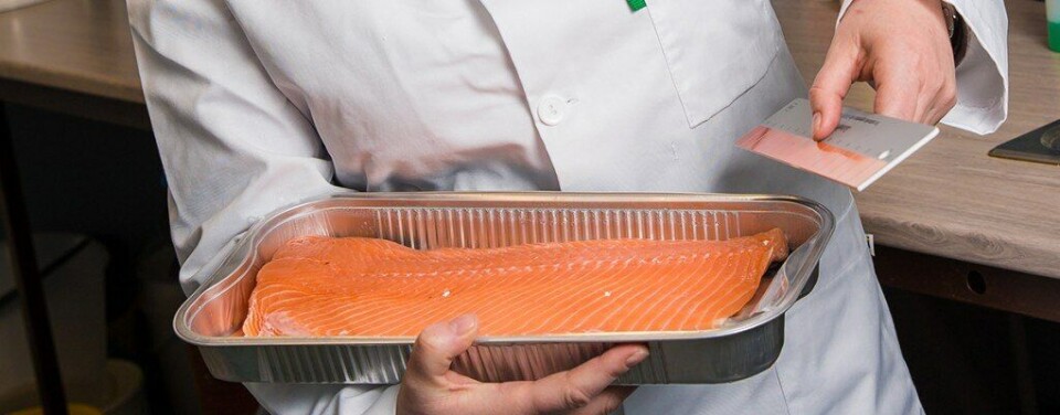 Trine Ytrestøyl’s research has shown that the level of omega-3 in feed affects the colour of the salmon, and has suggested that stress also plays a role (photo: Terje Aamodt/Nofima).